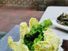 -墨脱石锅椰子鸡•香草鸭•东山羊(大东海店)