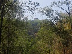 -大屏嶂森林公园