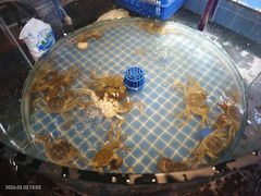 -争先鲜·蒸汽海鲜自助·鲜切牛肉