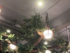 -顺德了能馆(虎门店)