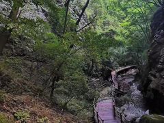 -牛背梁国家森林公园