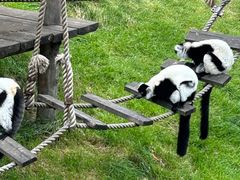 -大连森林动物园