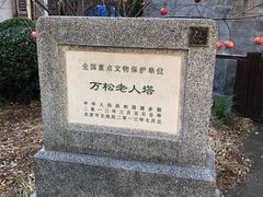 -万松老人塔