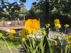 -莲花池公园