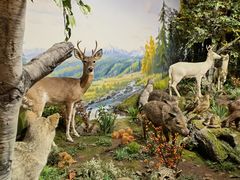 -陕西自然博物馆