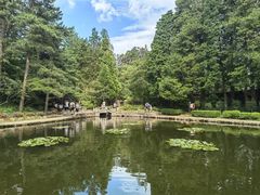 -庐山风景区花径公园