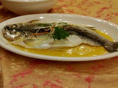 -中国饭店-餐厅