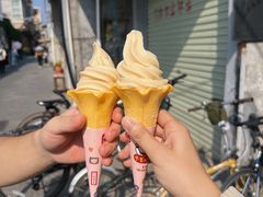 -长洲岛
