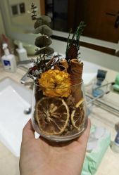 -明宇集团·积木枝芽母婴健康管理中心(天府店)