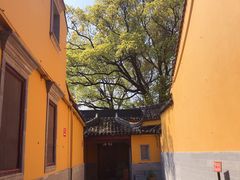 -灵岩山风景区