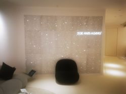 -紫御国际抗衰ZOE ANTI AGING