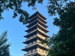 -宜兴龙背山森林公园