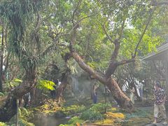 -Chom Cafe and Restaurant