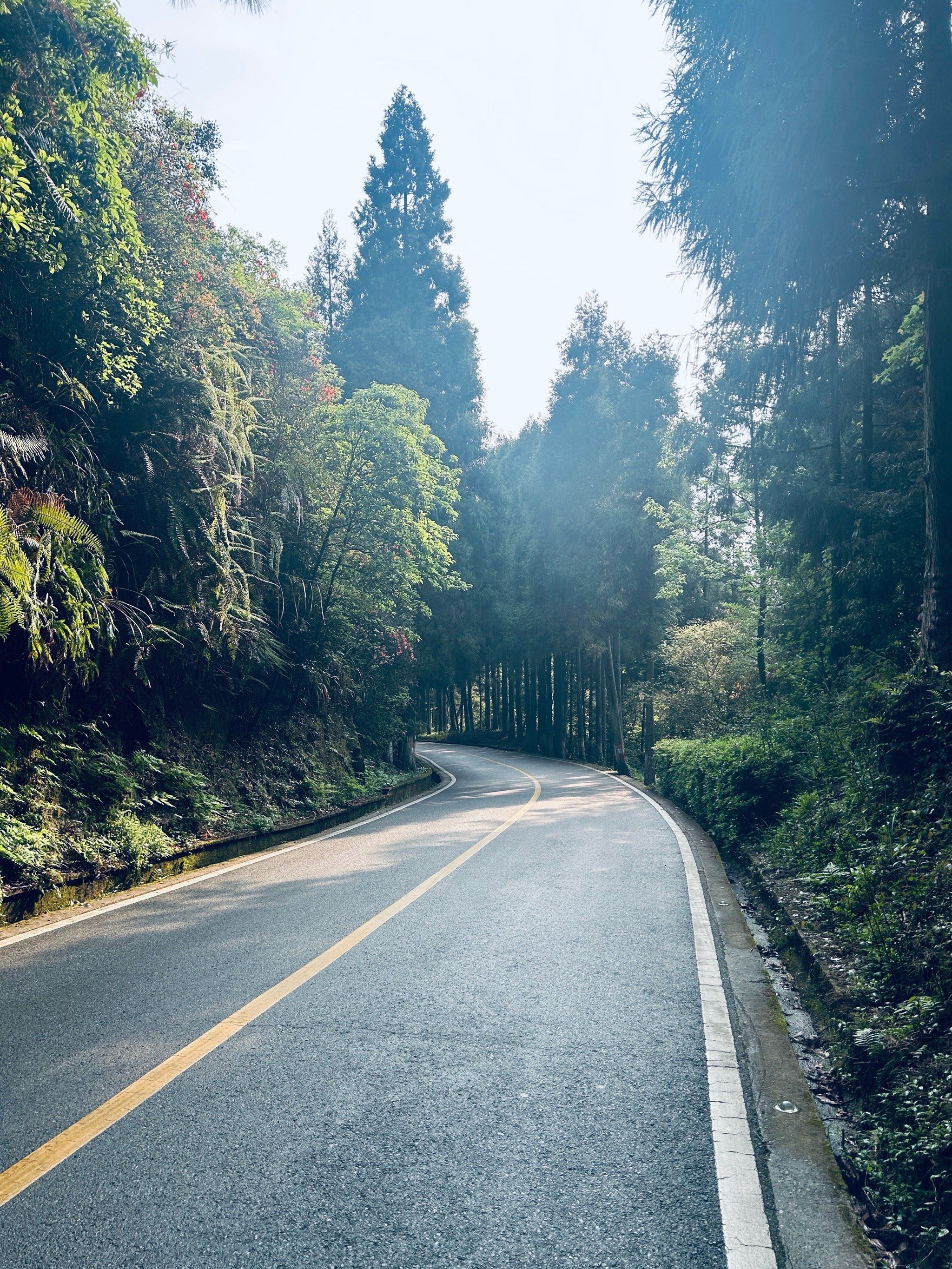 曲径通幽的山间路