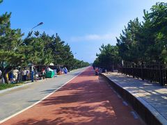-日照海滨国家森林公园