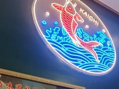 -新概念来凤鱼(璧山店)