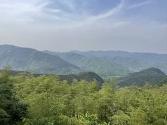 -莫干山风景区