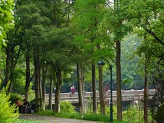 -西溪国家湿地公园