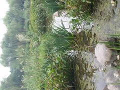 android_upload_pic-新江湾城公园