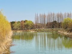 -南湖湿地公园