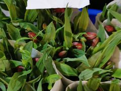 -三圣花乡旅游区