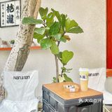 佛山探店｜桔瀧面包屋🍞