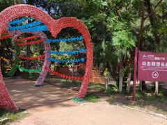 -北海金海湾红树林生态旅游区