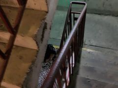 -816工程景区