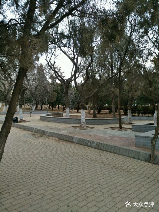 金家街公园图片
