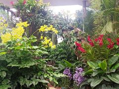 -华南国家植物园-售票处