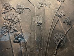 -湖南省地质博物馆