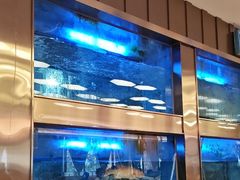 -潮福城大酒楼·潮粤菜·港式点心(阳光城店)