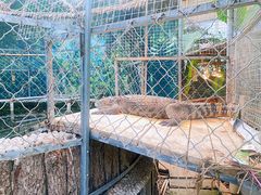 -呀路古热带植物园