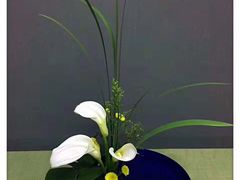 -荷兰布尔玛国际花艺学院