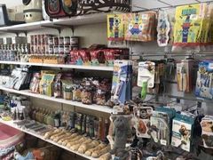 -宠颐生宠物医院·综合诊疗(先锋分院)