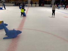 -TheRink大零溜冰场(IFS国金中心店)