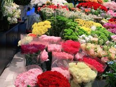-双季花艺园艺市场(浦东店)