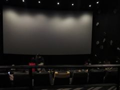 -百美汇影城(LUXE嘉里中心店)