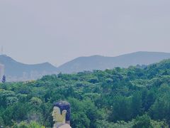 -千佛山风景名胜区