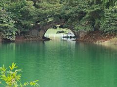 -广州市流溪河国家森林公园