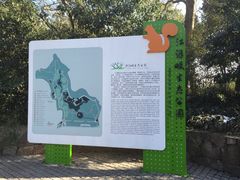 -西湖风景区-江洋畈生态公园