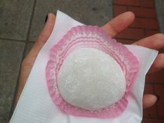 榴莲糯米糍-澳门长洲糯米糍(柯打苏沙街店)