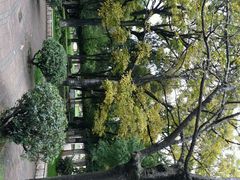 android_upload_pic-云南师范大学(一二一西南联大校区)