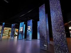-深圳市当代艺术与城市规划馆