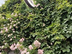 -元大都城垣遗址公园