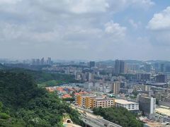 -阳台山森林公园