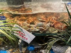 -亚马逊蒸汽活海鲜自助(LCM置汇旭辉广场店)