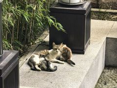 -海天楼中餐厅(吴宫泛太平洋酒店)