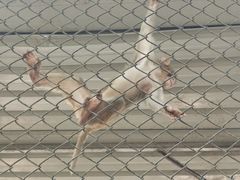 -长白岛森林公园