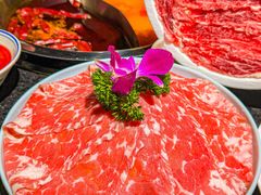 -蓉城老院十年老火锅(中南店)